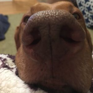 Meet your Posher, Jenna